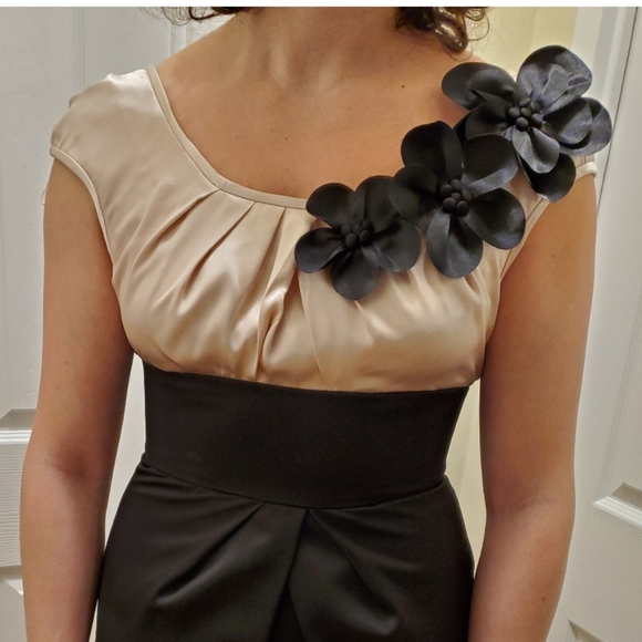 Elegant pencil skirt dress - Picture 3 of 5